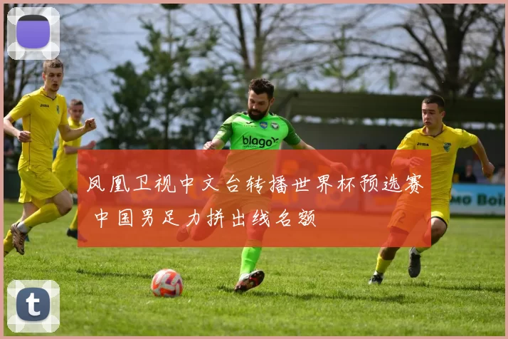 凤凰卫视中文台转播世界杯预选赛 中国男足力拼出线名额