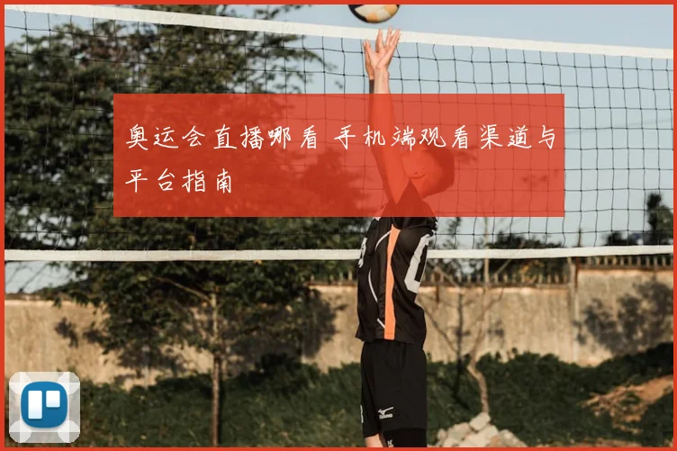 奥运会直播哪看 手机端观看渠道与平台指南
